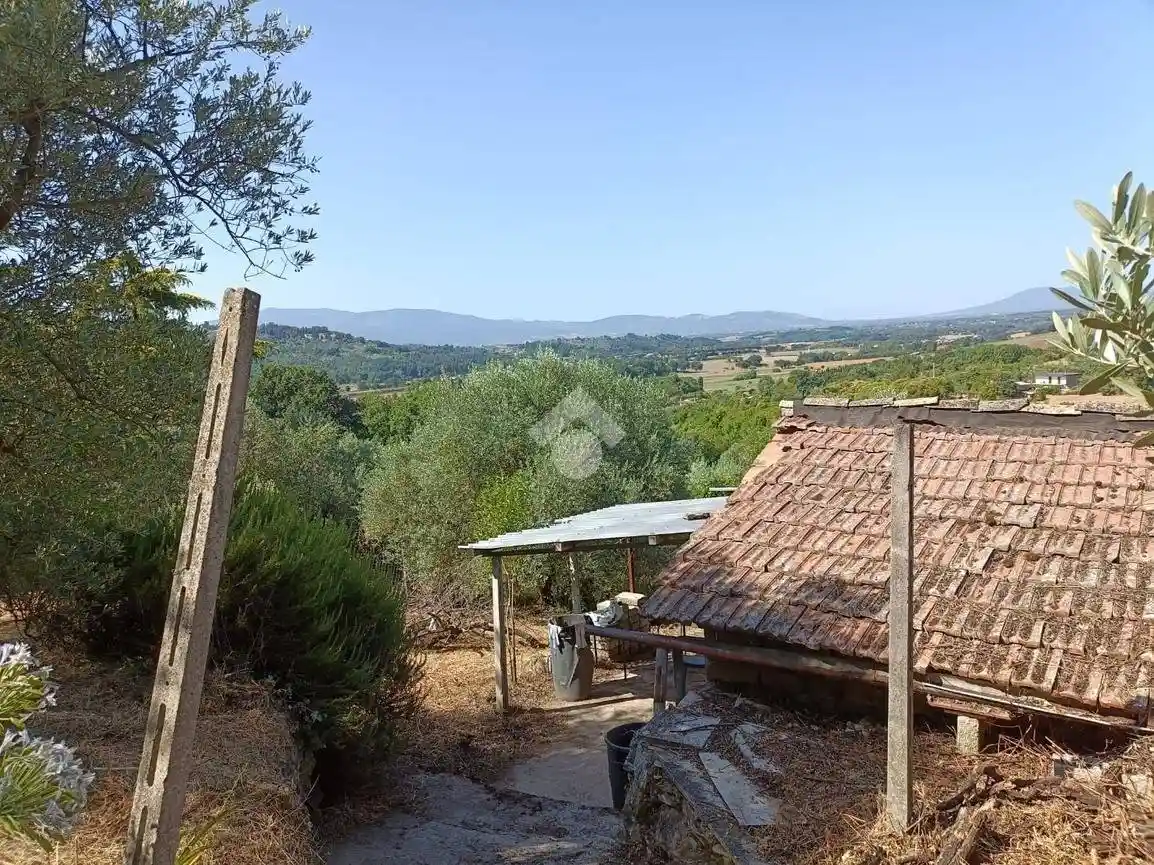 Rustico - Casale in vendita a Olevano Romano