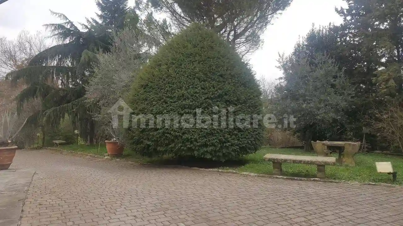 Palazzo - Edificio - foto 5