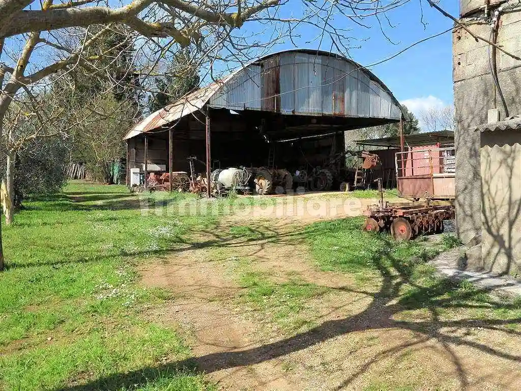 Rustico - Casale - foto 4