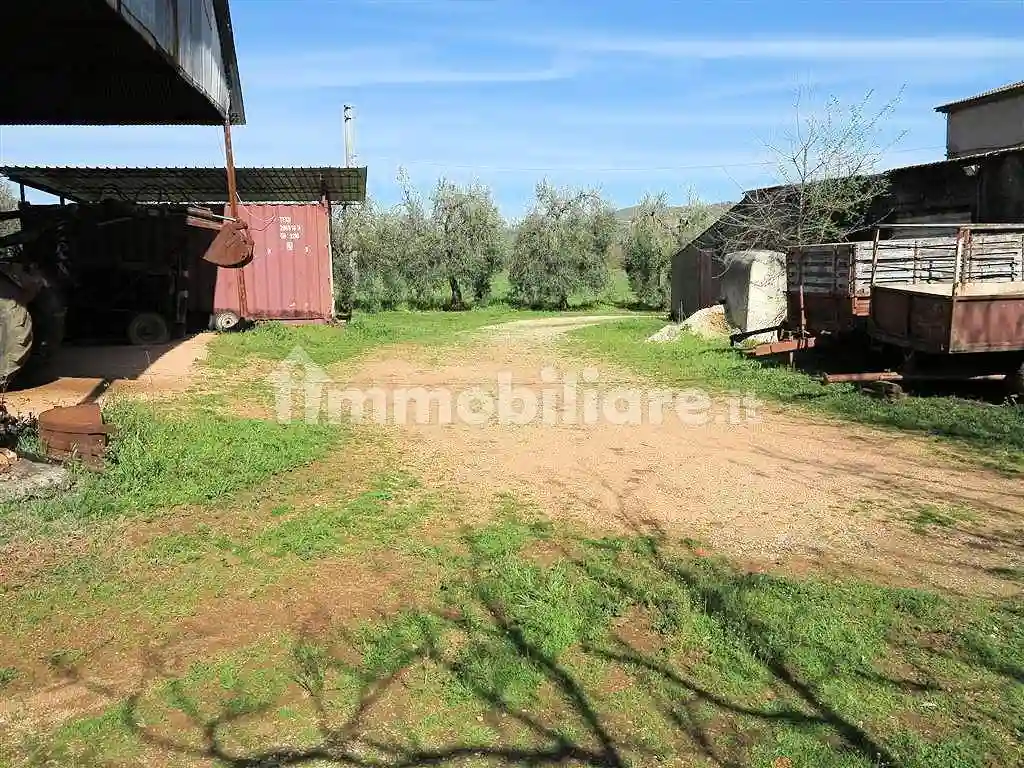 Rustico - Casale - foto 5