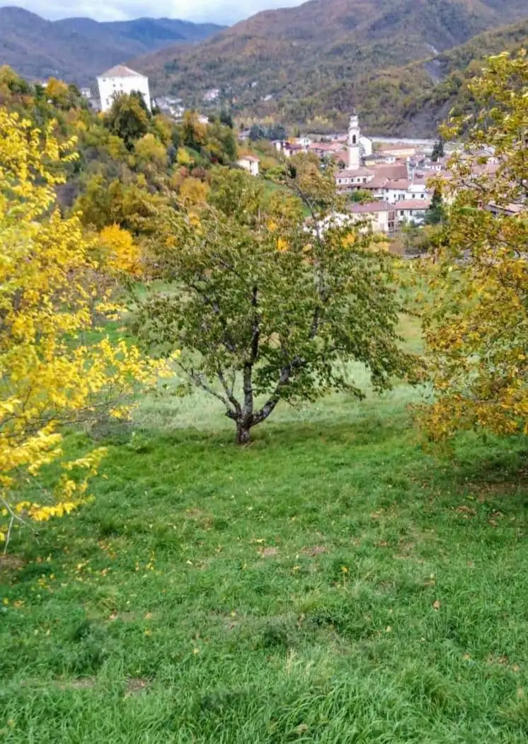 Rustico, da ristrutturare, 150 m², Centro, Cabella Ligure - foto 3