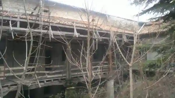 Palazzo - Edificio - foto 5