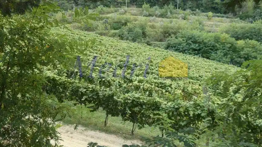 Terratetto unifamiliare via Sgallara, Tessello, Cesena - foto 2