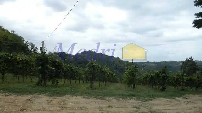 Terratetto unifamiliare via Sgallara, Tessello, Cesena - foto 5