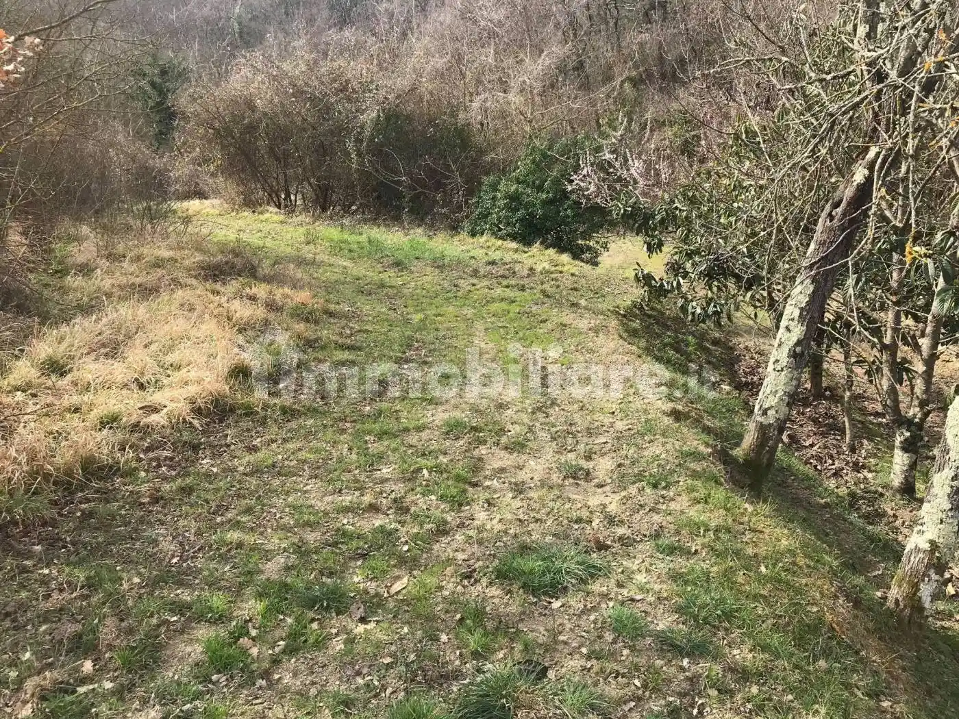 Casa colonica Località San Firenze, San Firenze - Scopetone, Arezzo - foto 3