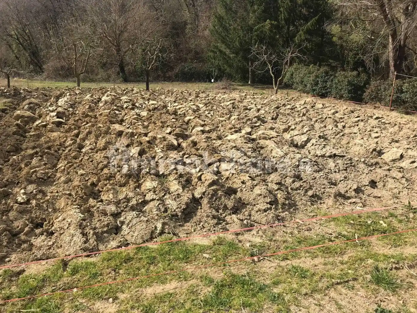 Casa colonica Località San Firenze, San Firenze - Scopetone, Arezzo - foto 5