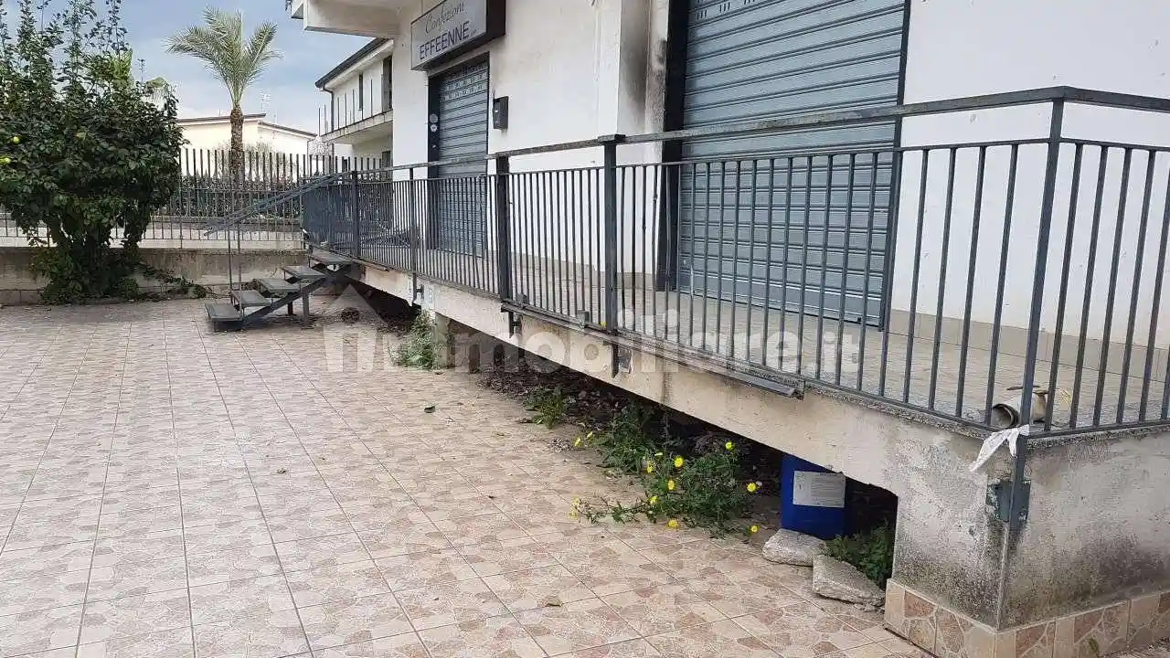 Palazzo - Edificio - foto 4