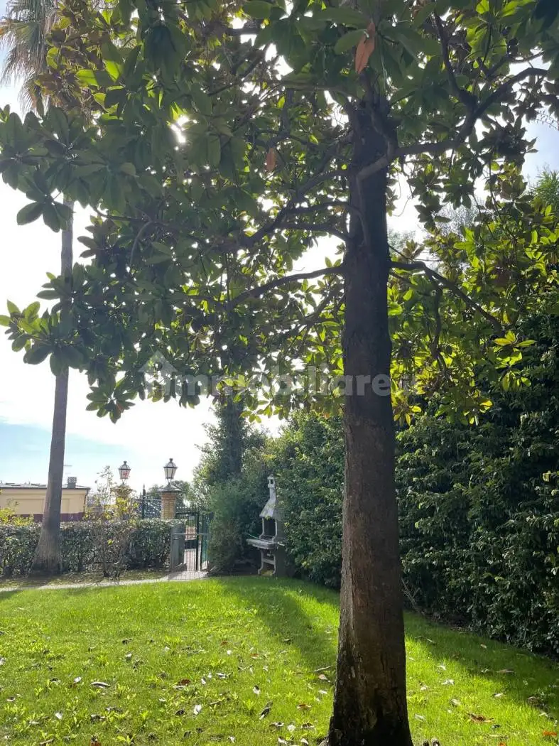 Appartamento in affitto a Alassio