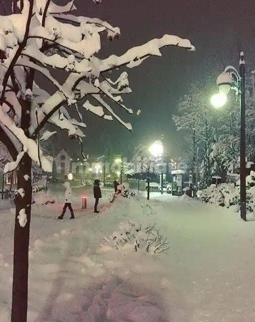 Appartamento in vendita a Pinzolo
