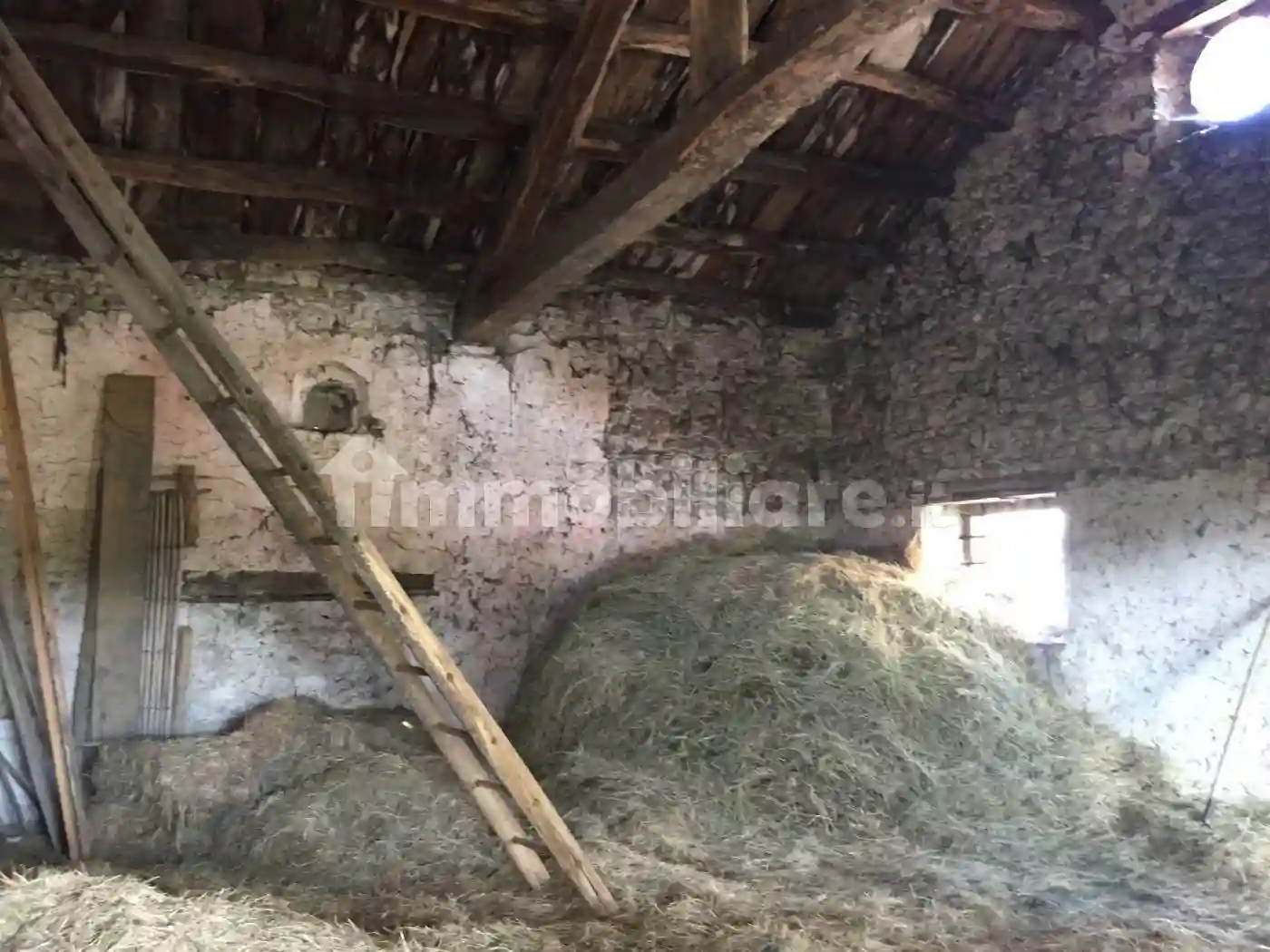 Rustico - Casale - foto 5