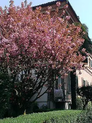 Palazzo - Edificio in vendita a Oglianico