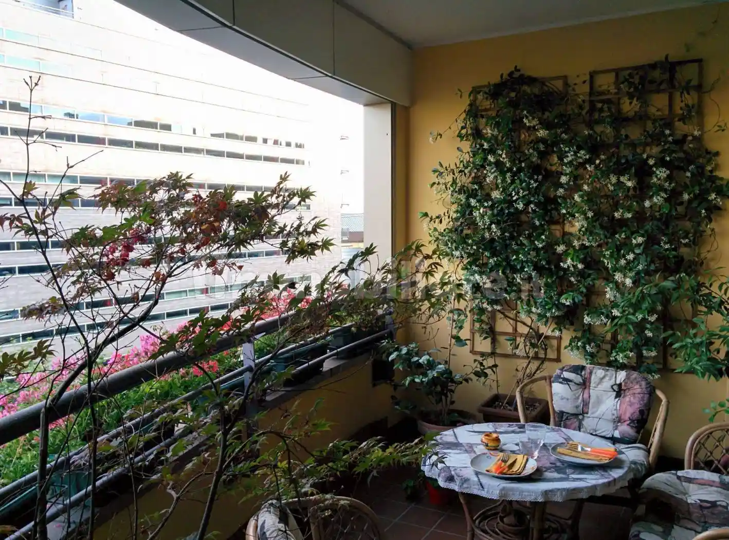 Appartamento in affitto a San Donato Milanese