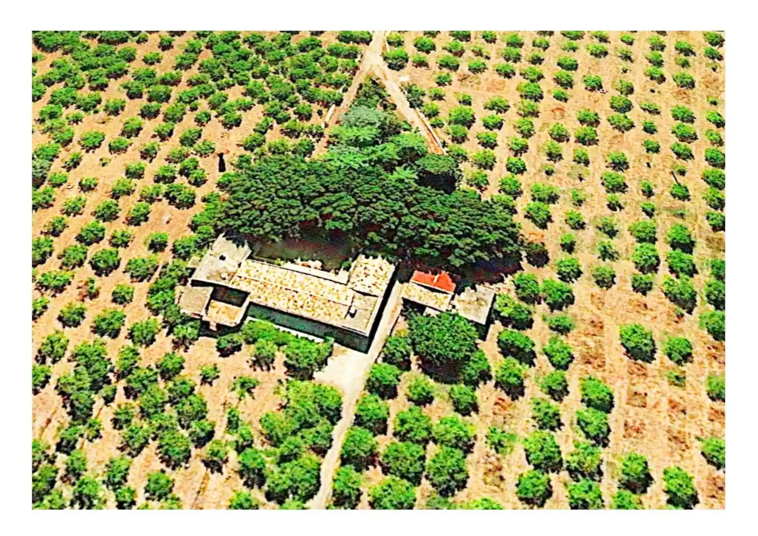 Villa in vendita a Avola