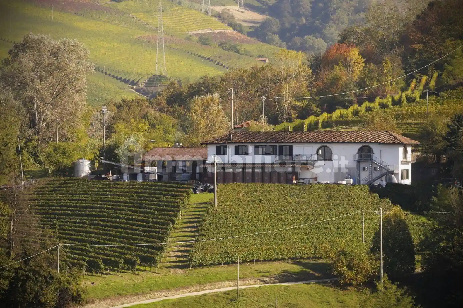 Rustico - Casale in vendita a Neive