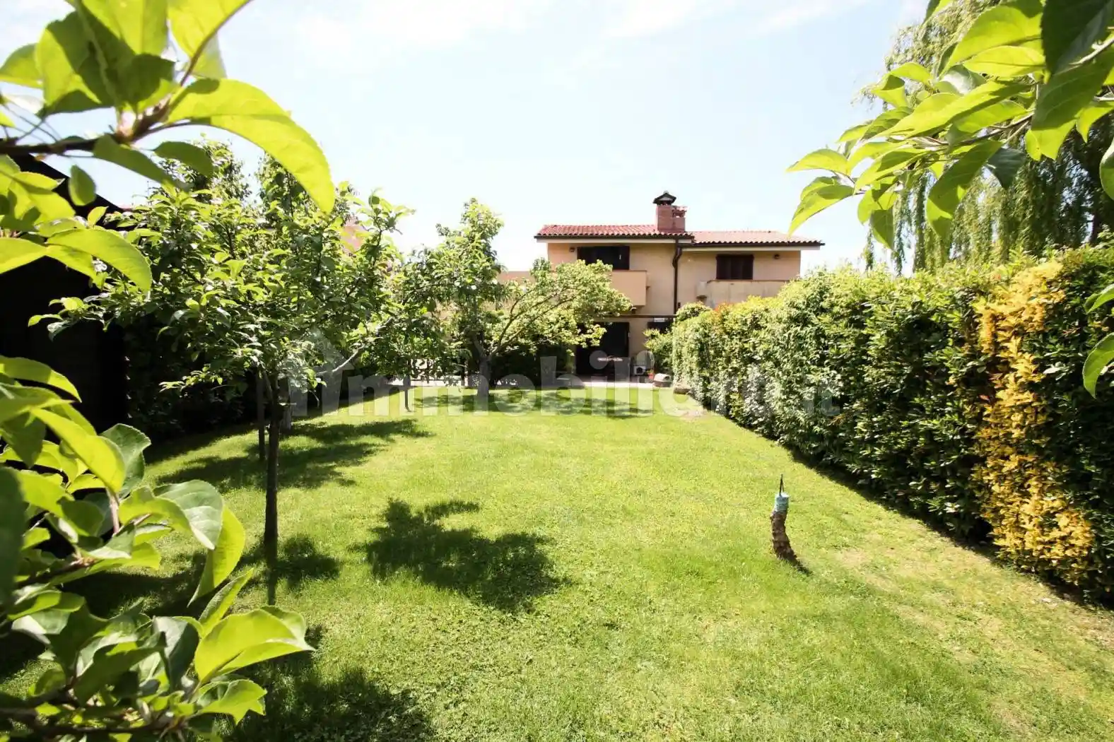 Villetta a schiera in affitto a Capalbio