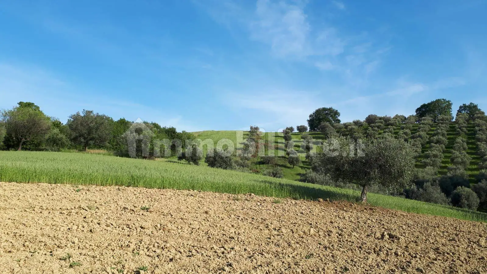 Rustico - Casale in vendita a Alba Adriatica