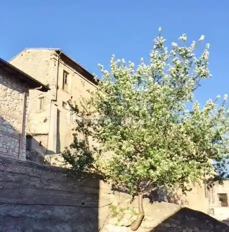 Palazzo - Edificio in Vendita - foto 2