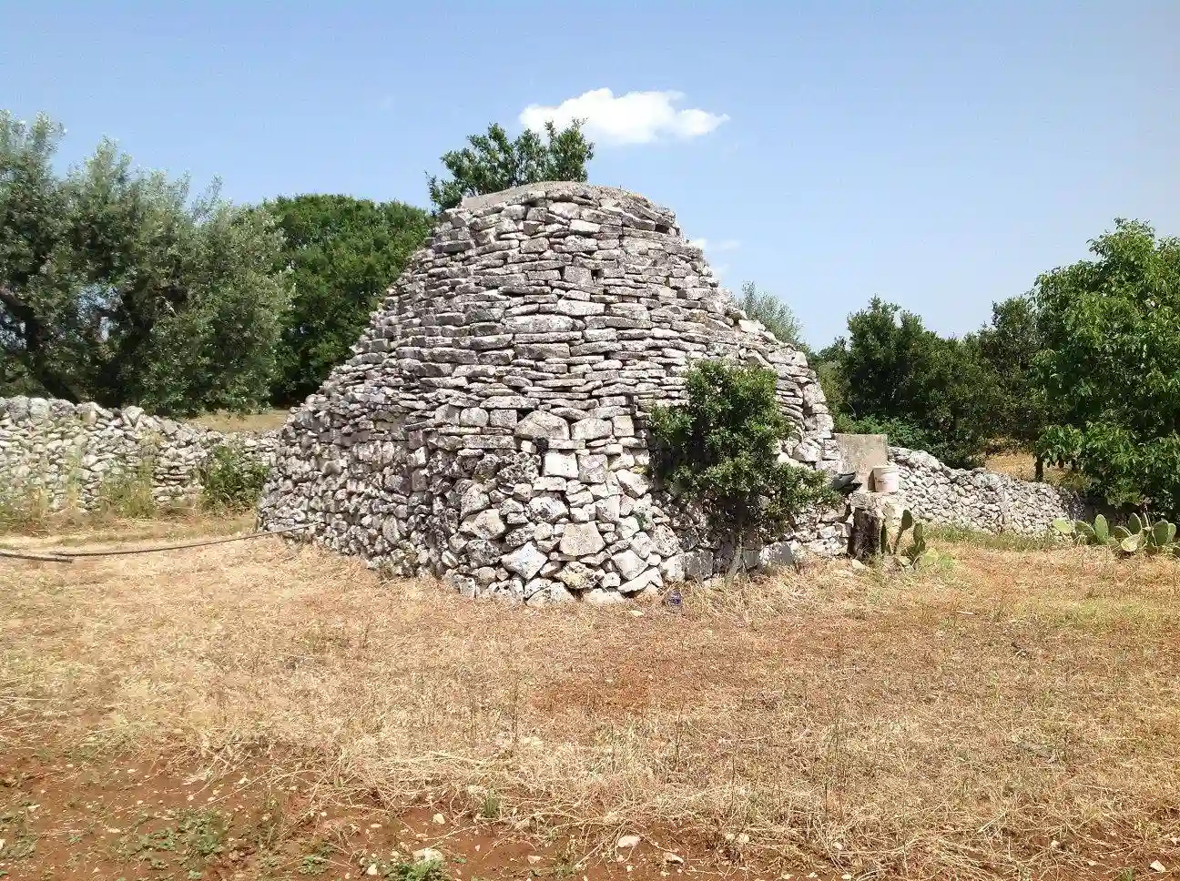 Rustico - Casale - foto 3