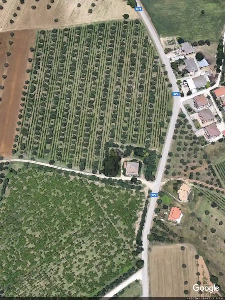 Casale Contrada Gabbiano, Corropoli - foto 5