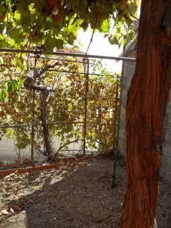 Casa indipendente in vendita a Padria