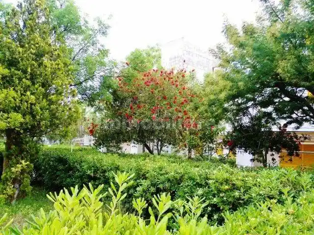 Bilocale Le Castella, Santa Domenica, Isola di Capo Rizzuto - foto 3