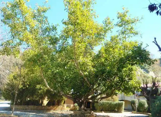 Rustico Praiaolonga, Praialonga, Isola di Capo Rizzuto - foto 2