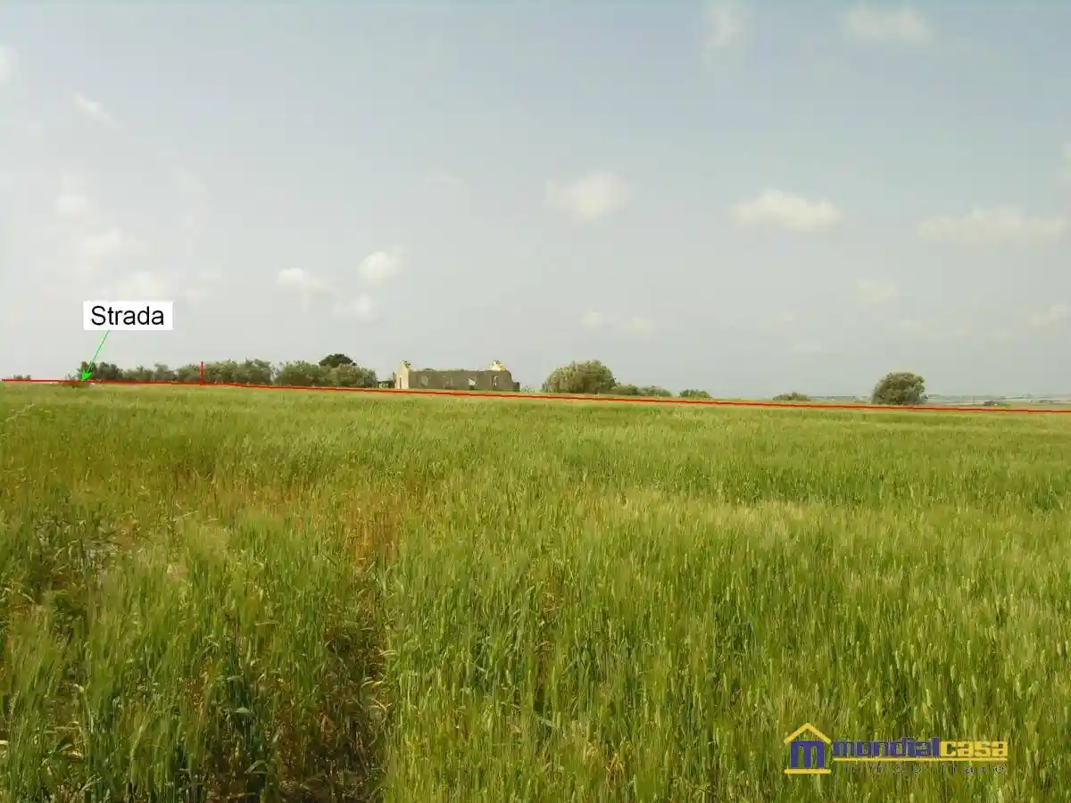 Palazzo - Edificio in vendita a Noto