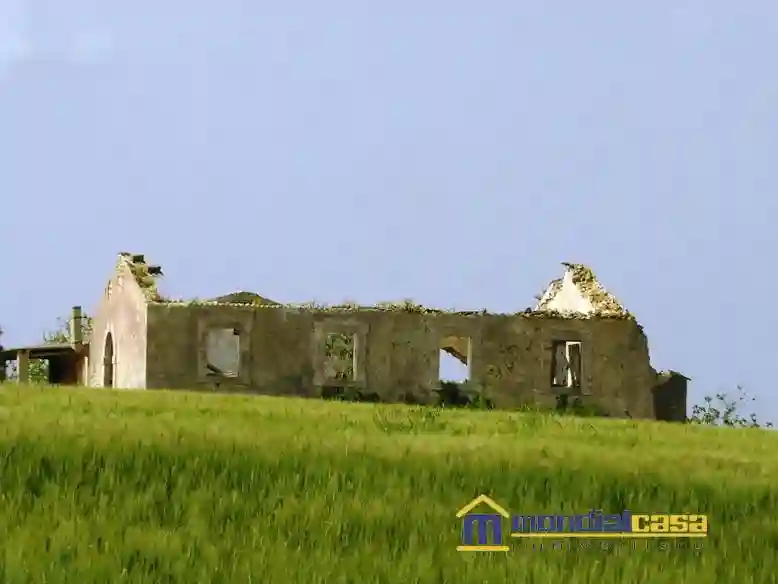 Palazzo - Edificio - foto 3