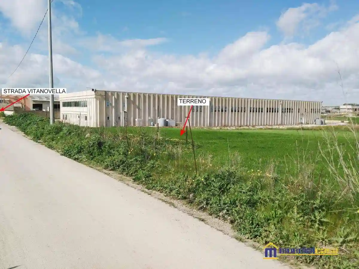 Palazzo - Edificio - foto 2