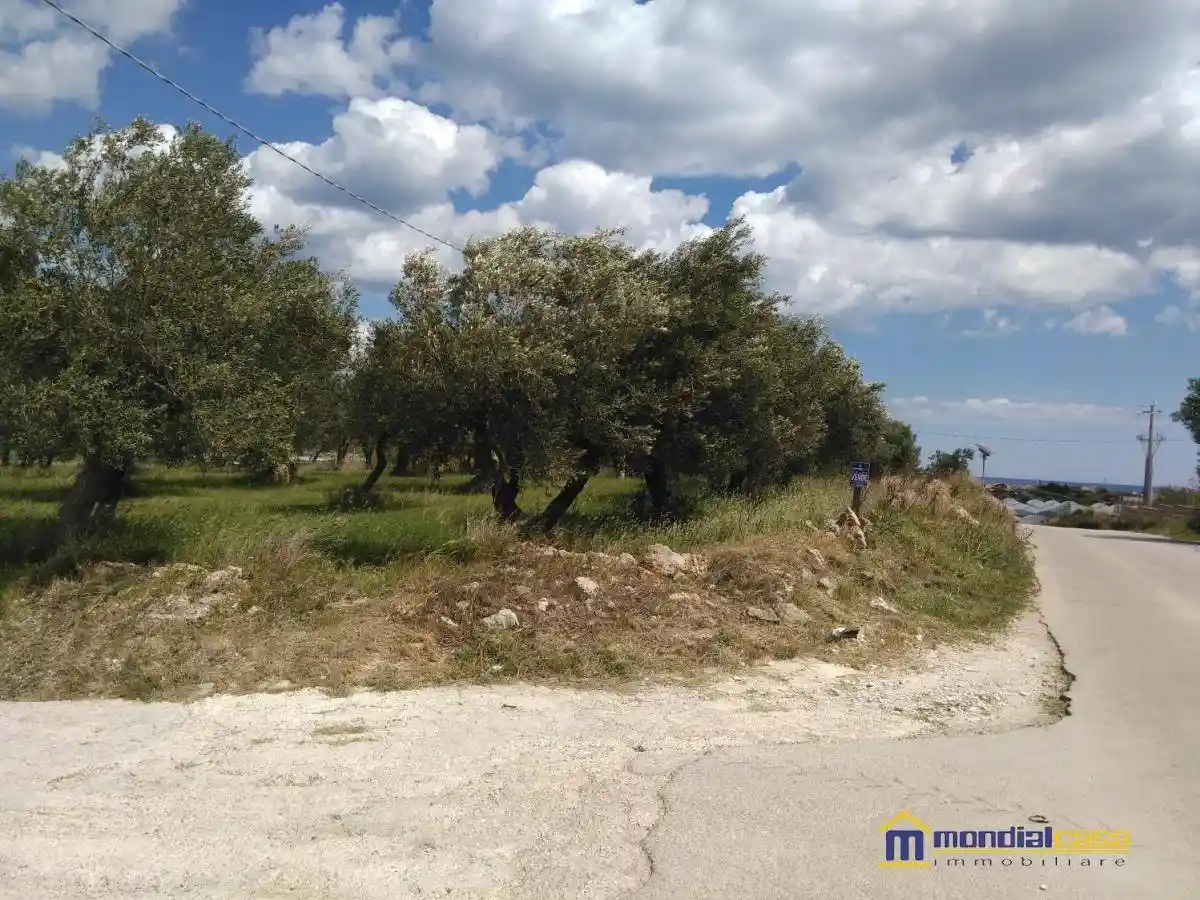 Palazzo - Edificio in vendita a Pachino