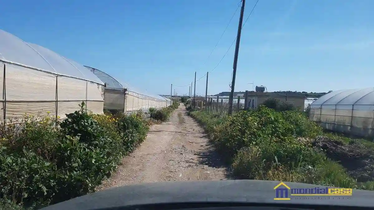 Palazzo - Edificio - foto 4