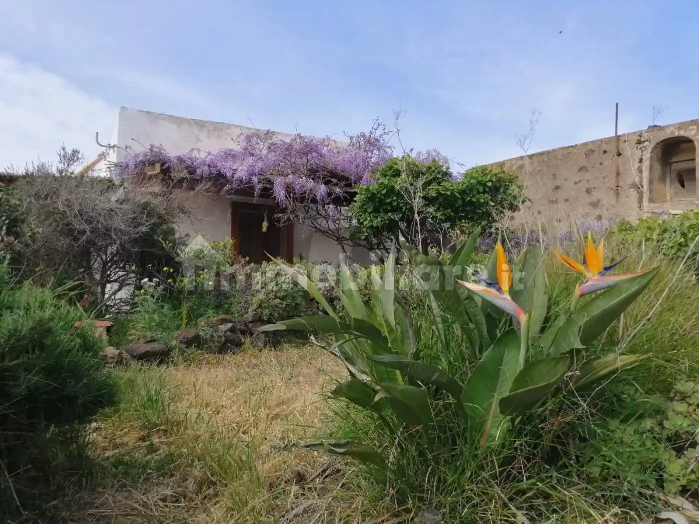 Rustico - Casale in vendita a Pantelleria