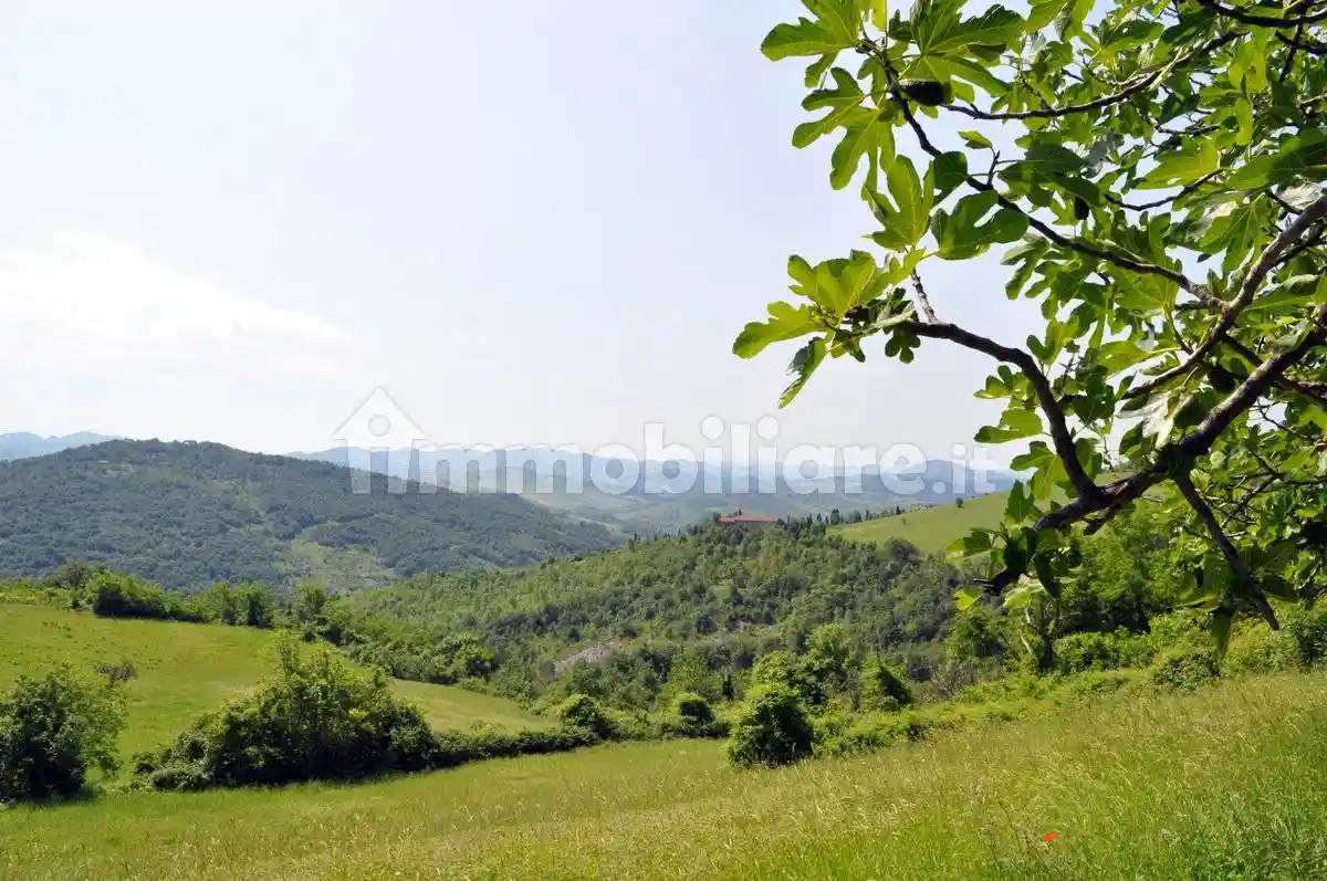 Casa colonica, da ristrutturare, 140 m², Montecalvo, Pianoro - foto 2