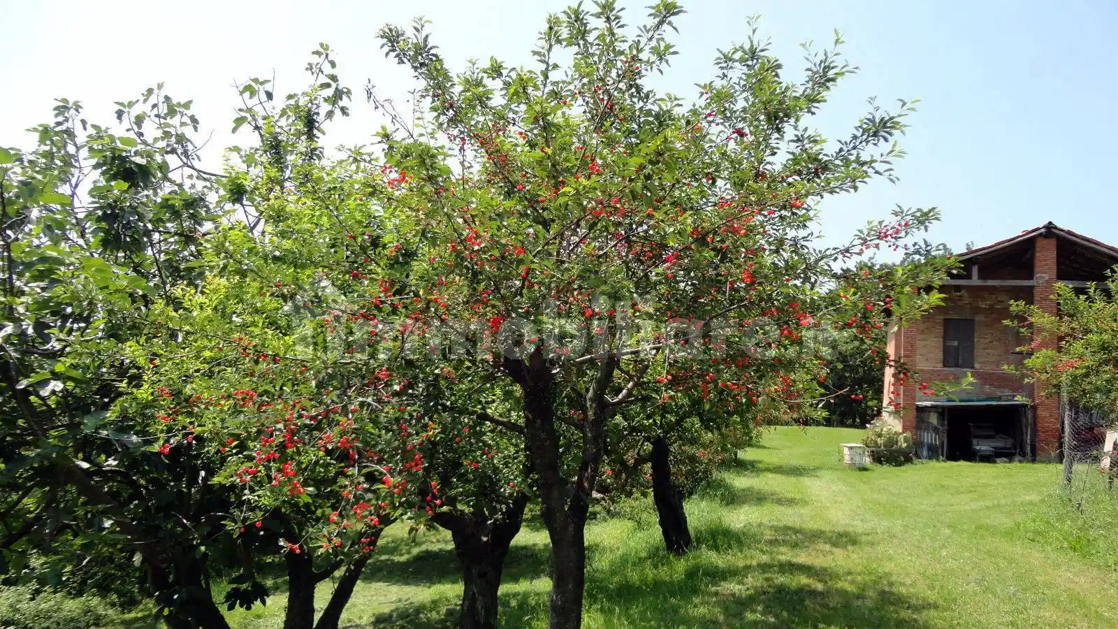 Casa colonica, da ristrutturare, 140 m², Montecalvo, Pianoro - foto 5