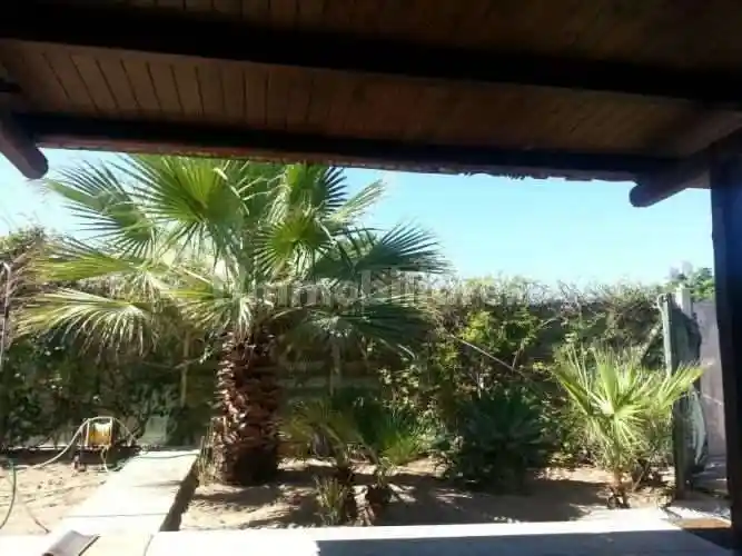 Casa indipendente in affitto a Marsala