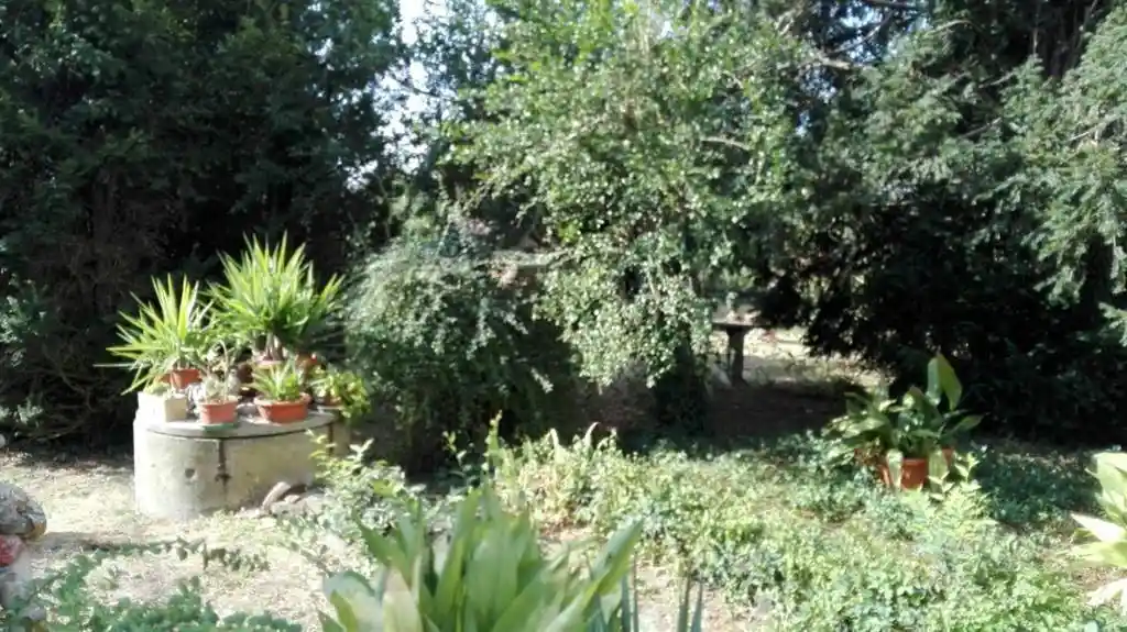 Villa in vendita a Suzzara