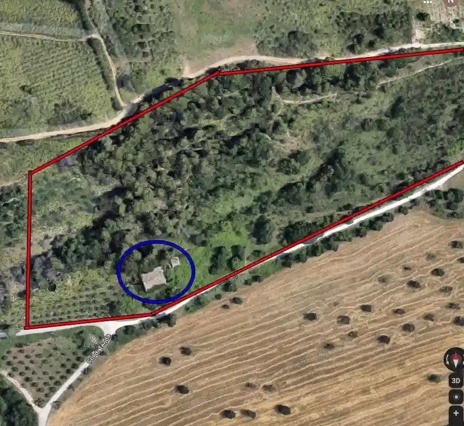 Rustico - Casale - foto 3