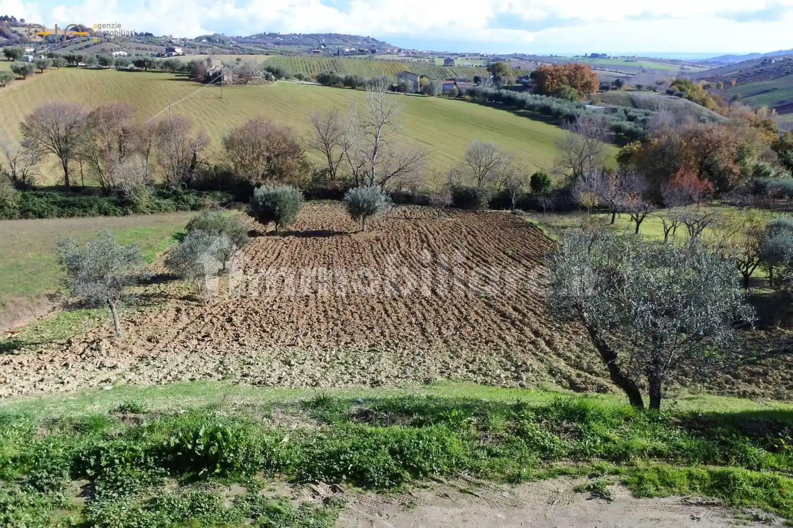 Villa unifamiliare contrada Rio Moro, 0, Colonnella - foto 5