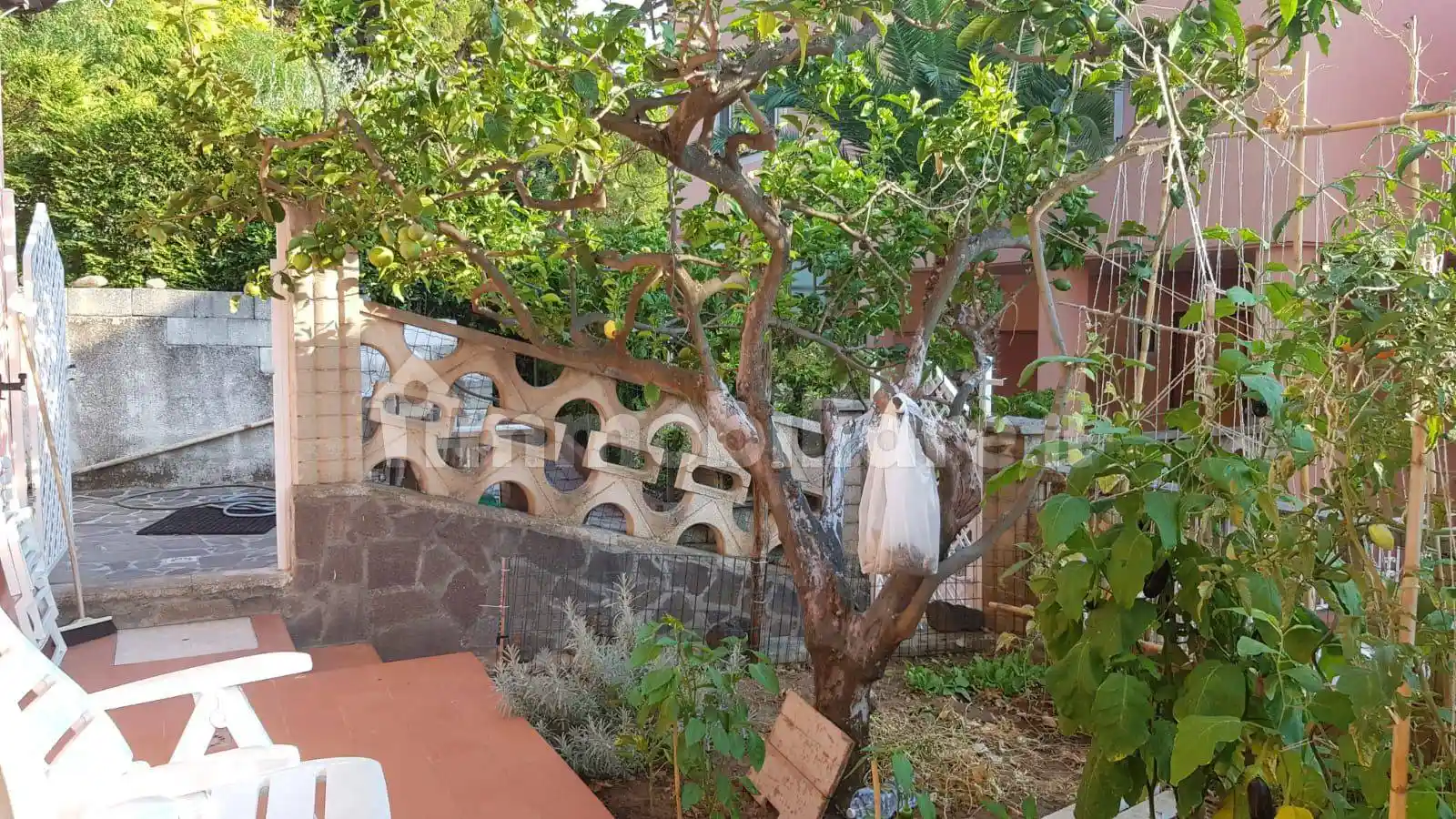 Villa bifamiliare Ss18, Marina, Maratea - foto 3