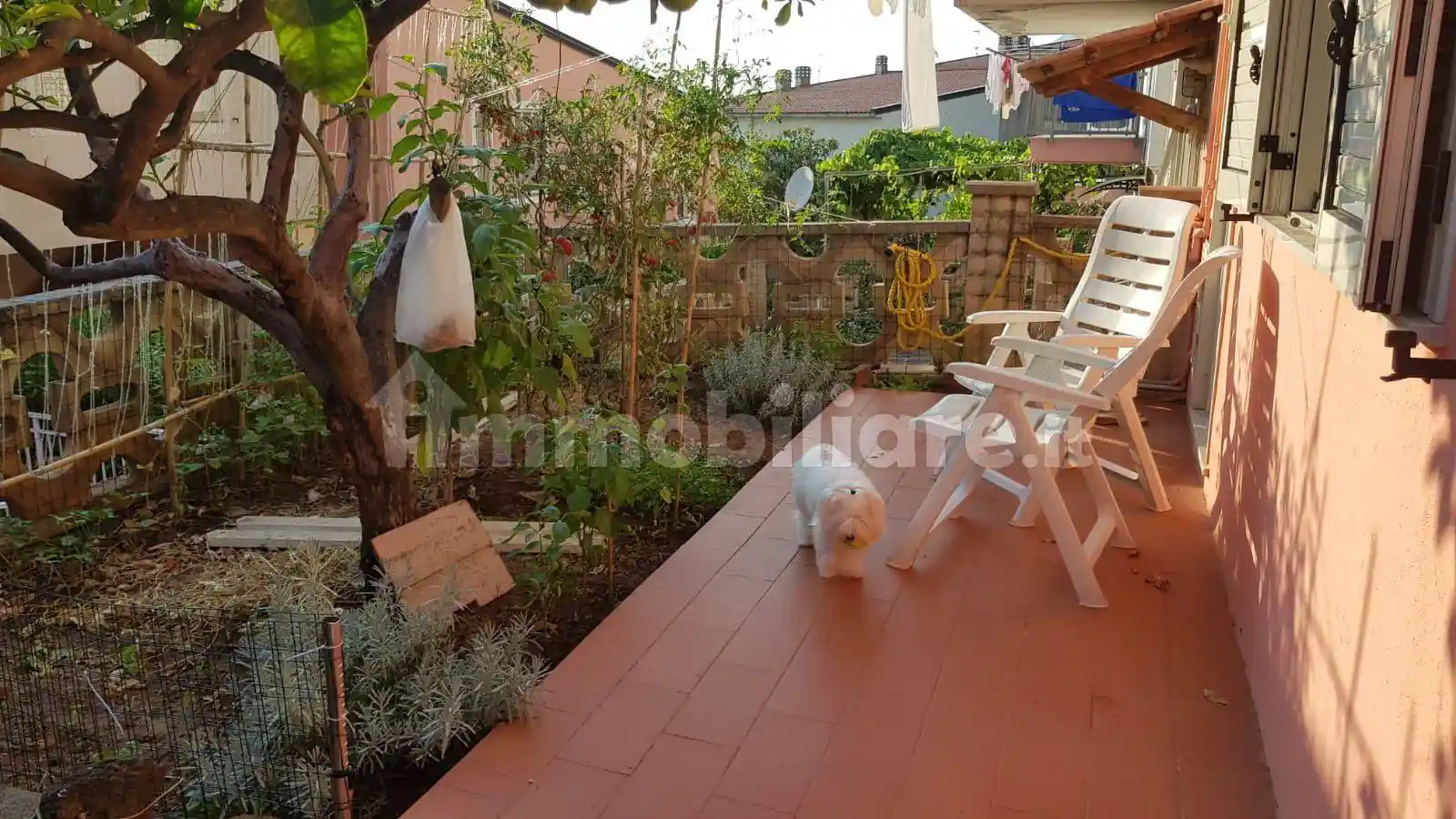 Villa bifamiliare Ss18, Marina, Maratea - foto 4