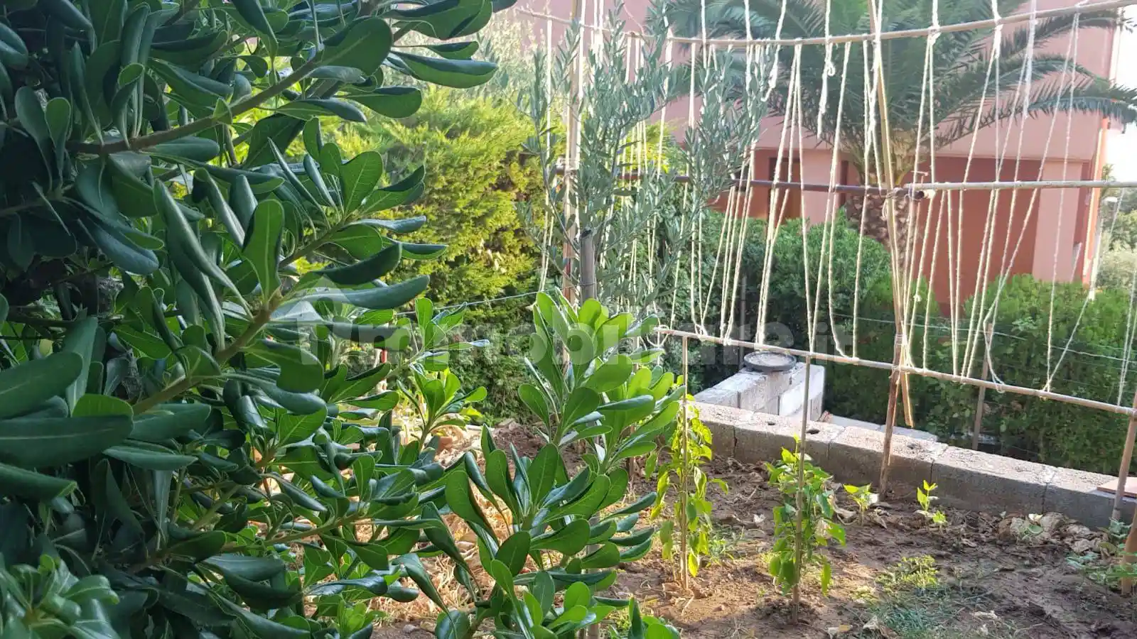 Villa bifamiliare Ss18, Marina, Maratea - foto 5