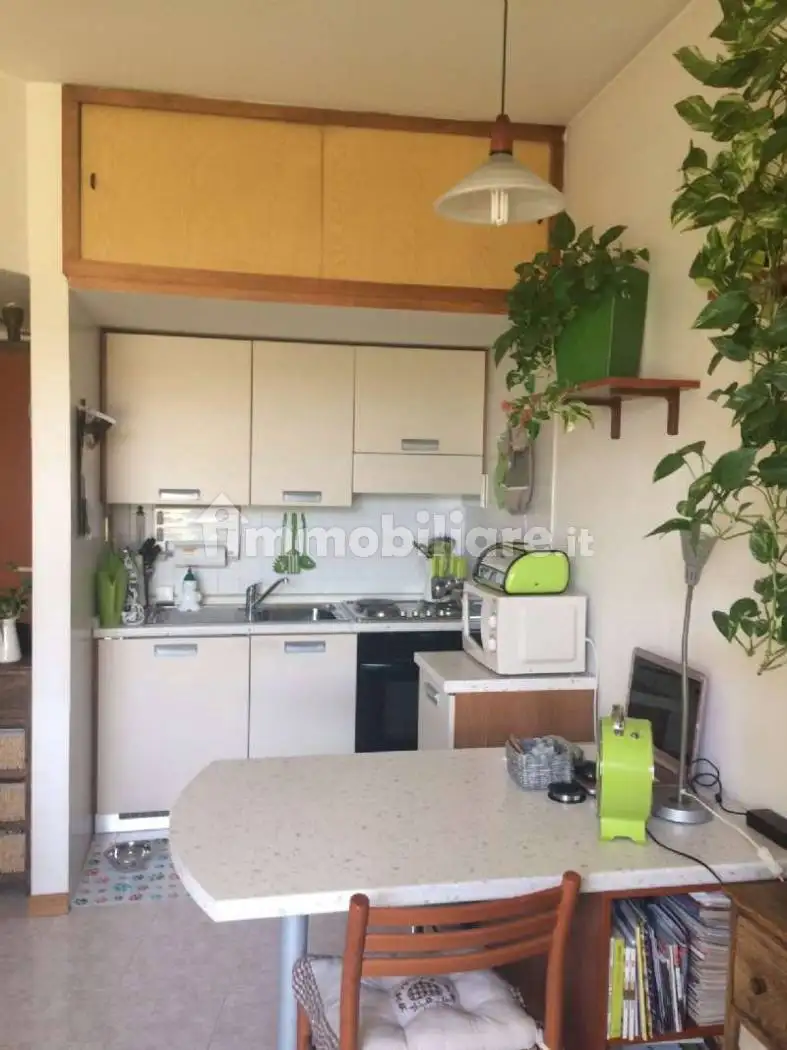 Appartamento in affitto a Vedano al Lambro