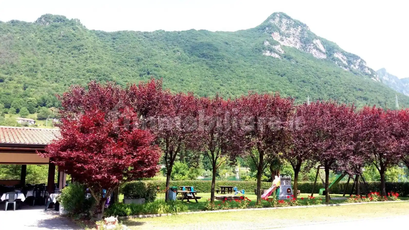 Palazzo - Edificio - foto 4