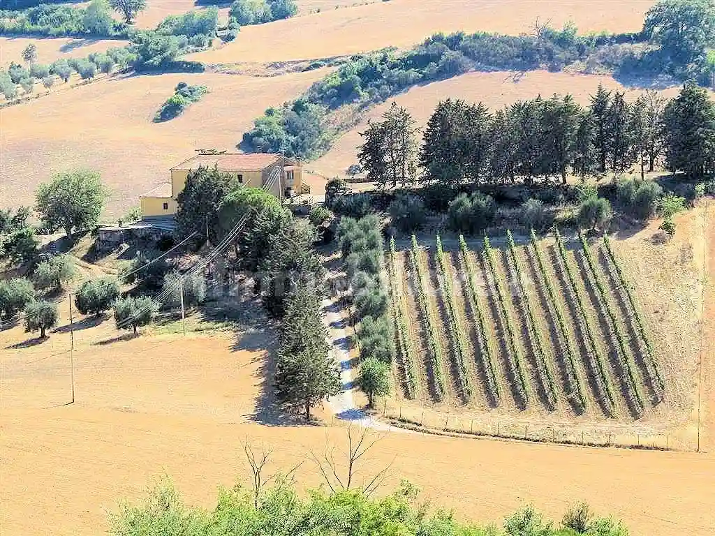 Rustico - Casale - foto 3