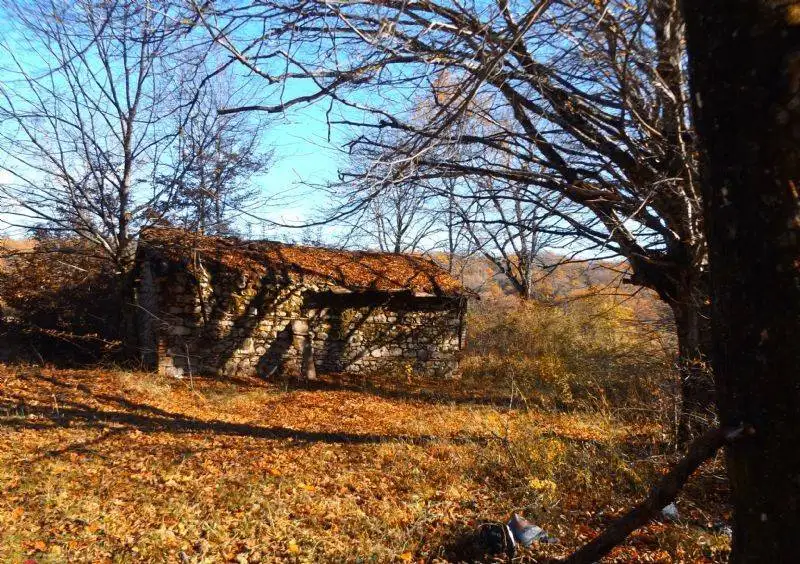 Palazzo - Edificio in vendita a Vallinfreda