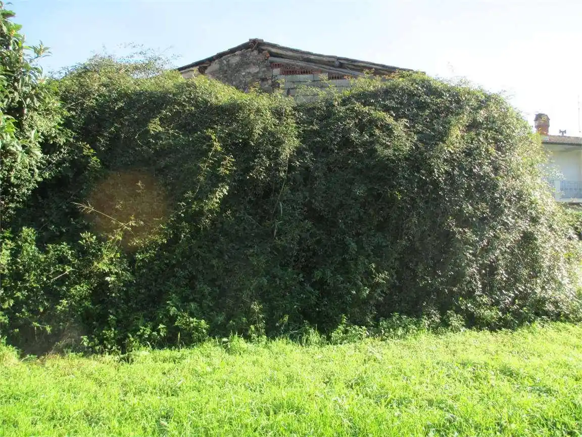 Rustico - Casale in vendita a Capannori