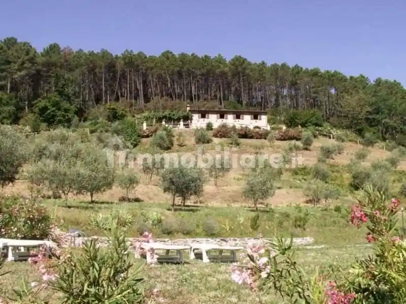 Rustico - Casale in vendita a Capannori