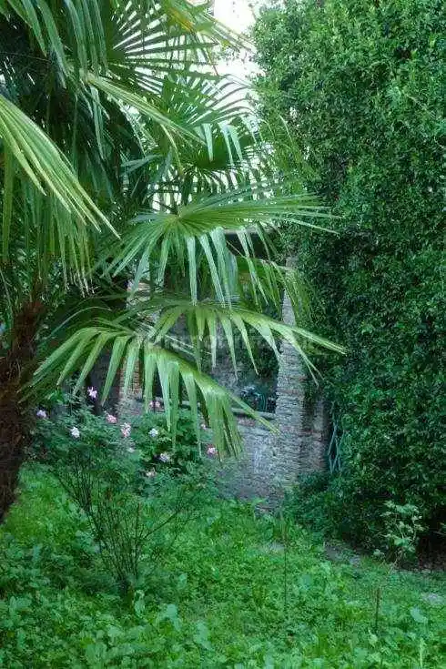 Appartamento in vendita a Lucca
