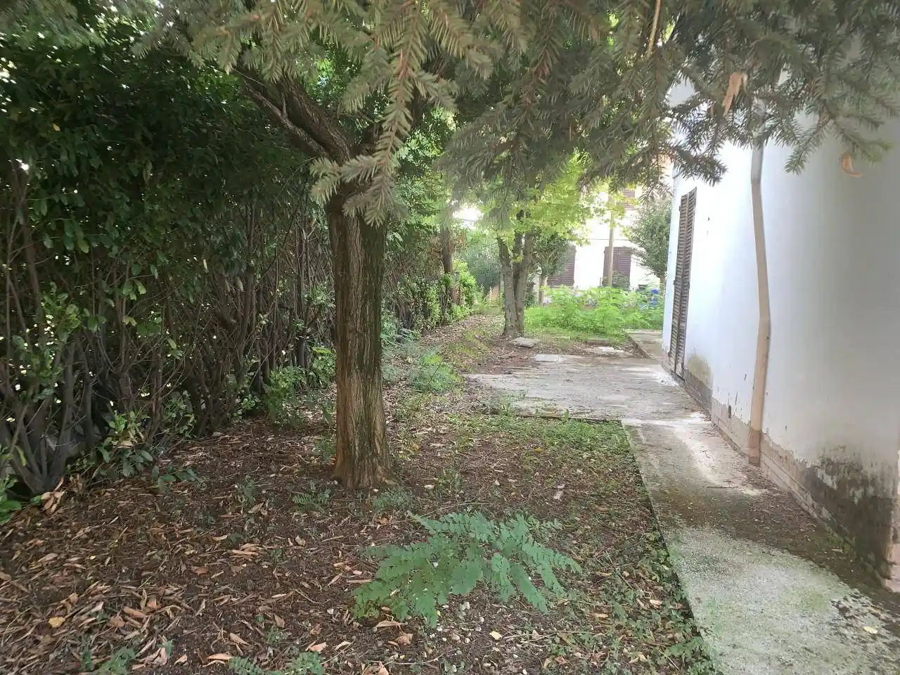 Villa in vendita a Novi di Modena