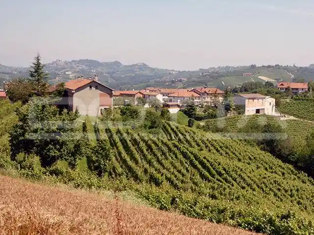 Rustico - Casale in vendita a Dogliani